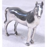 SILVER FOAL.