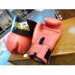 Pair of boxing gloves and a leather weight belt