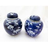 CHINESE GINGER JARS.