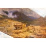 HIGHLAND CATTLE PRINT.