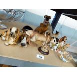 Collection of model animals,