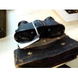 Cased pair of binoculars