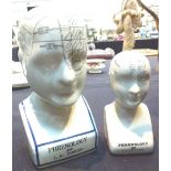 PHRENOLOGY HEADS. Two ceramic phrenology