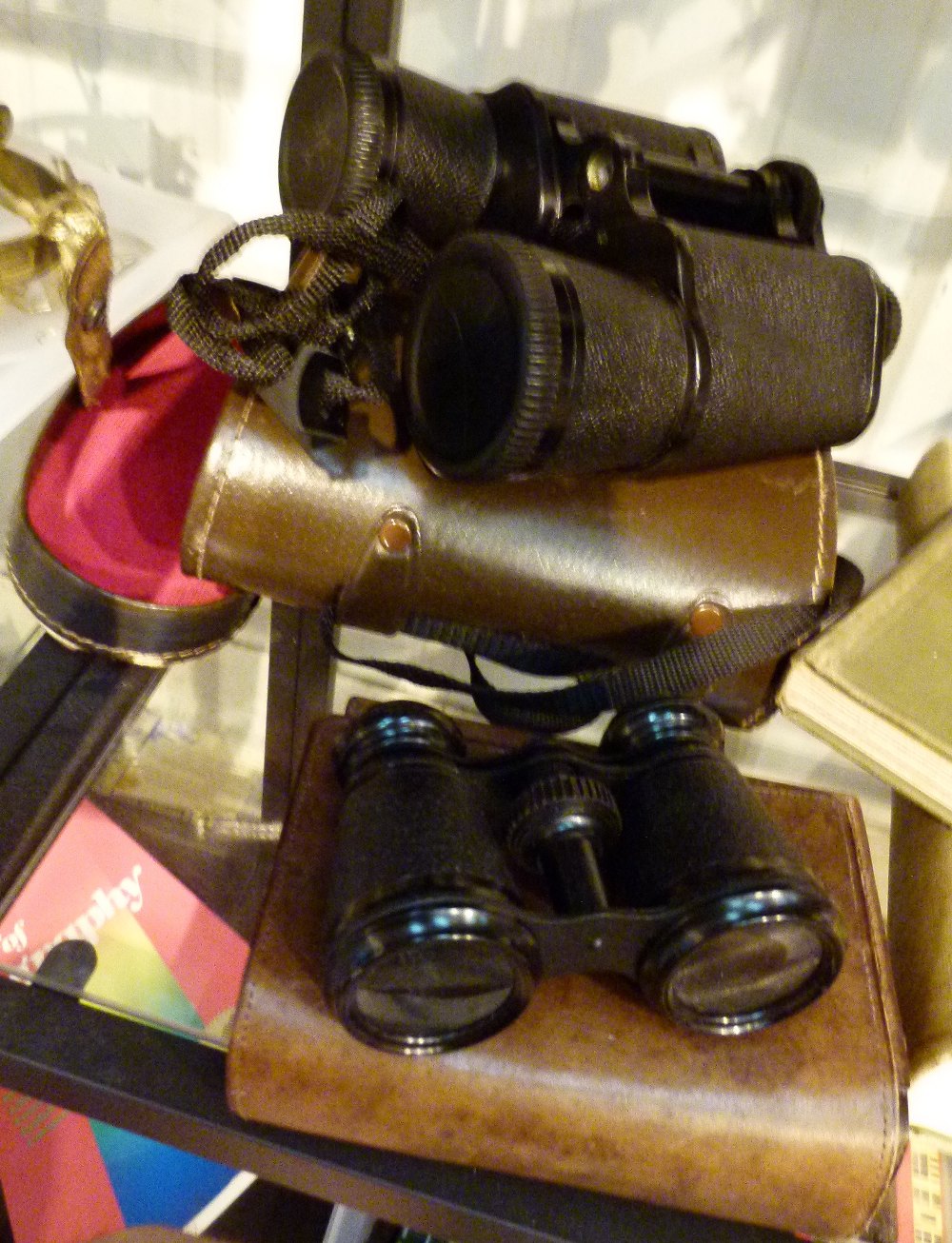 BINOCULARS.