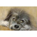 PASTEL OF A TERRIER.