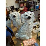 Pair of large Staffordshire dogs