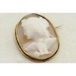 Cameo brooch, oval shell cameo depicting a maiden and an eagle sitting on a branch, set in yellow