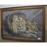 Oak framed Pears prints depicting Lions