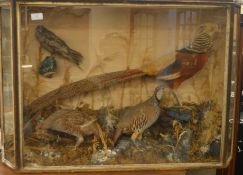 A display case containing four stuffed birds. Est.