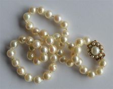 A small string of pearl beads with concealed clasp