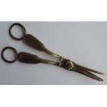 A good pair of fiddle and thread grape scissors wi