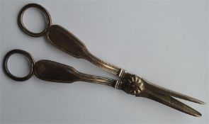 A good pair of fiddle and thread grape scissors wi