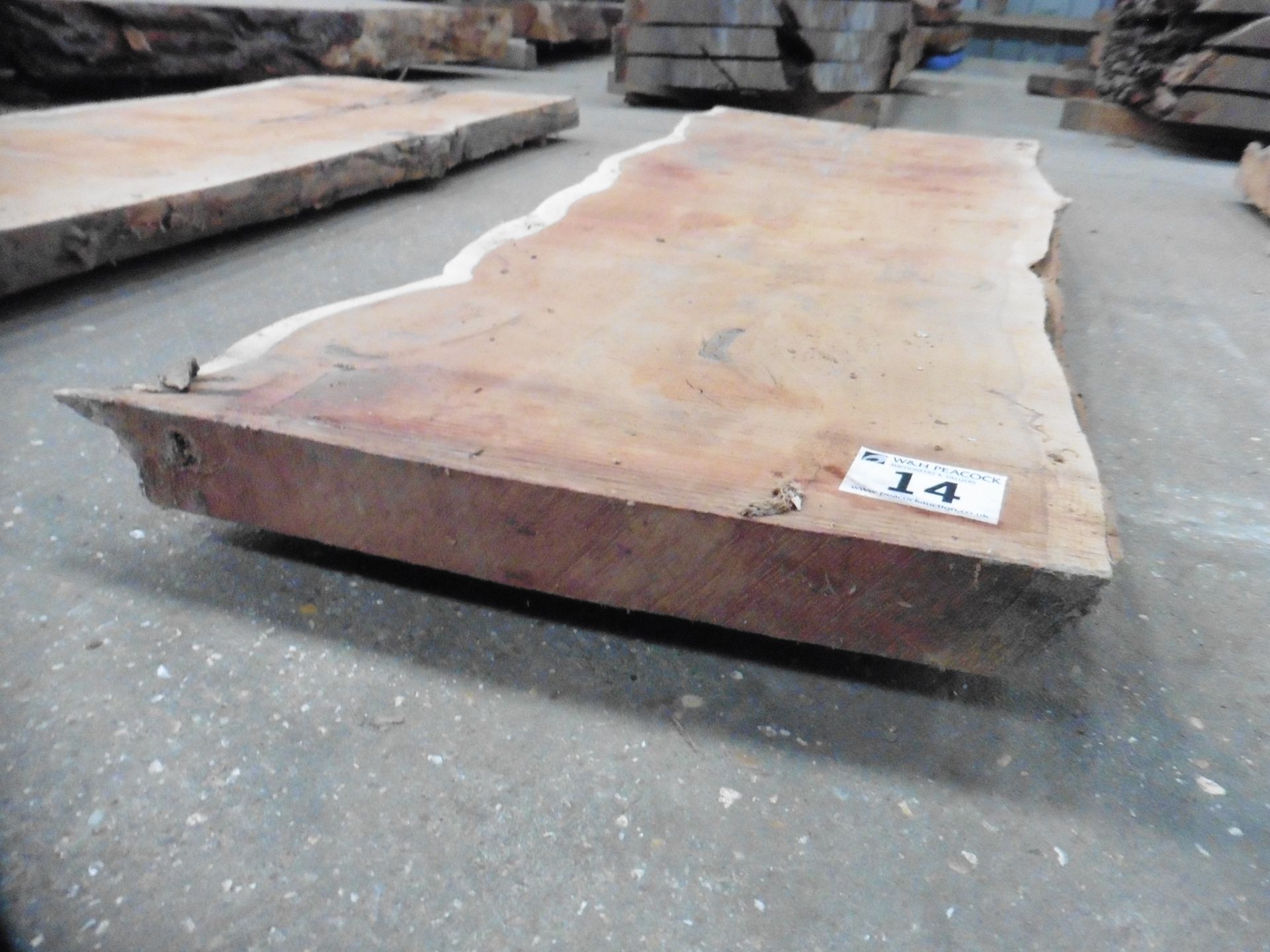 Plank of waney edge yew 1400 x 450 x 50mm - Image 2 of 5
