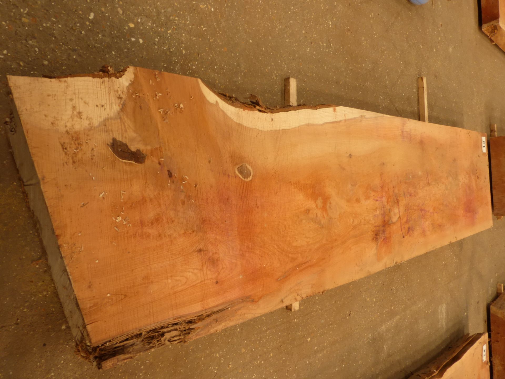 Plank of waney edge yew 1600 x 350 x 70mm - Image 5 of 5