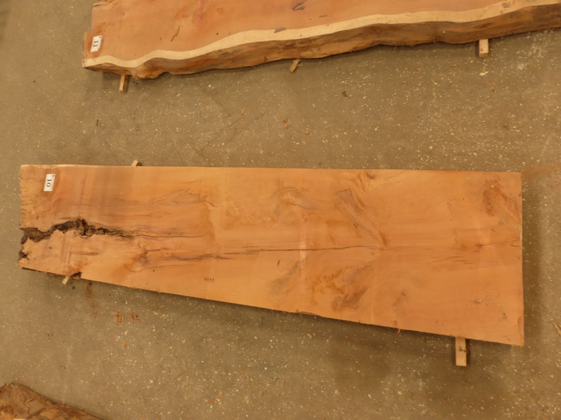 Plank of waney edge yew 1500 x 350 x 90mm - Image 2 of 5