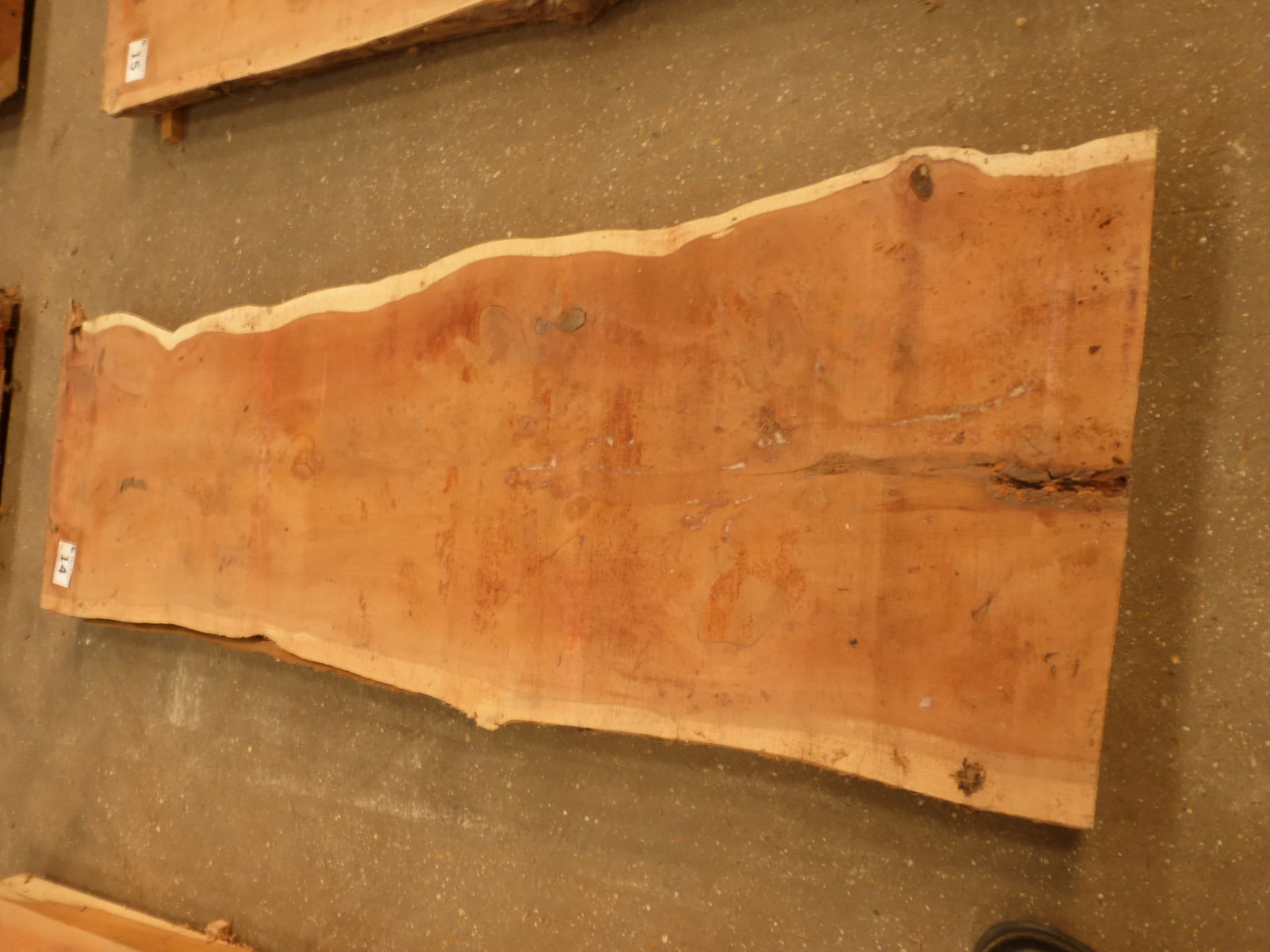 Plank of waney edge yew 1400 x 450 x 50mm - Image 5 of 5