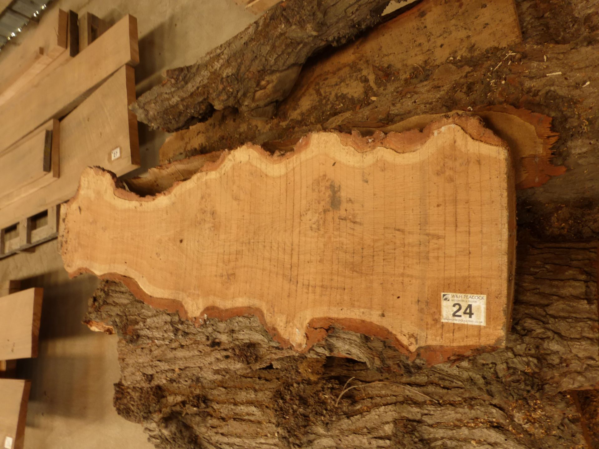 A pallet of approximately 13 planks of waney outer edge burr oak - Image 5 of 5