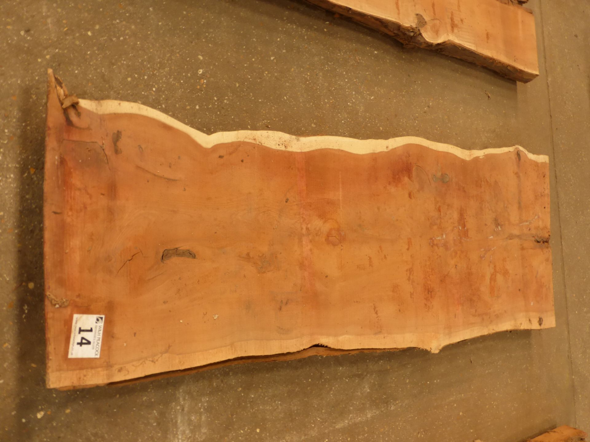 Plank of waney edge yew 1400 x 450 x 50mm