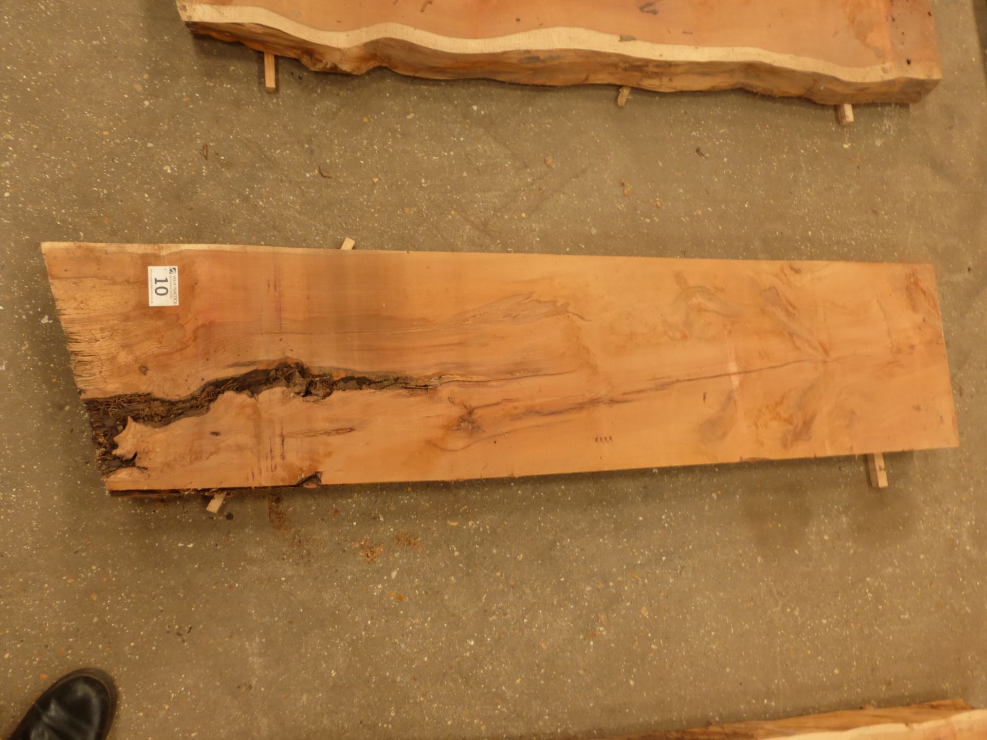 Plank of waney edge yew 1500 x 350 x 90mm - Image 5 of 5