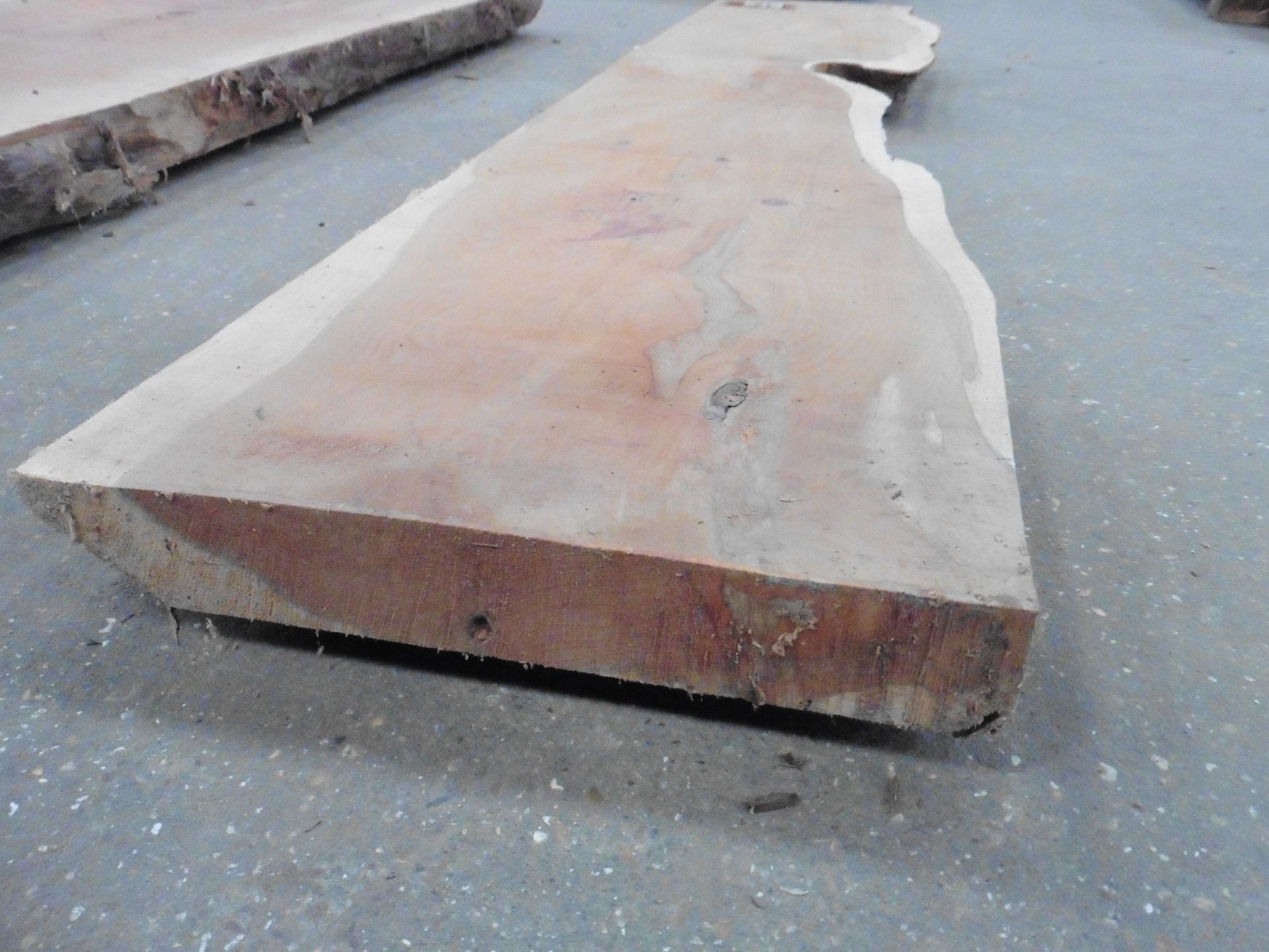 Plank of waney edge yew 1550 x 300 x 60mm - Image 3 of 6