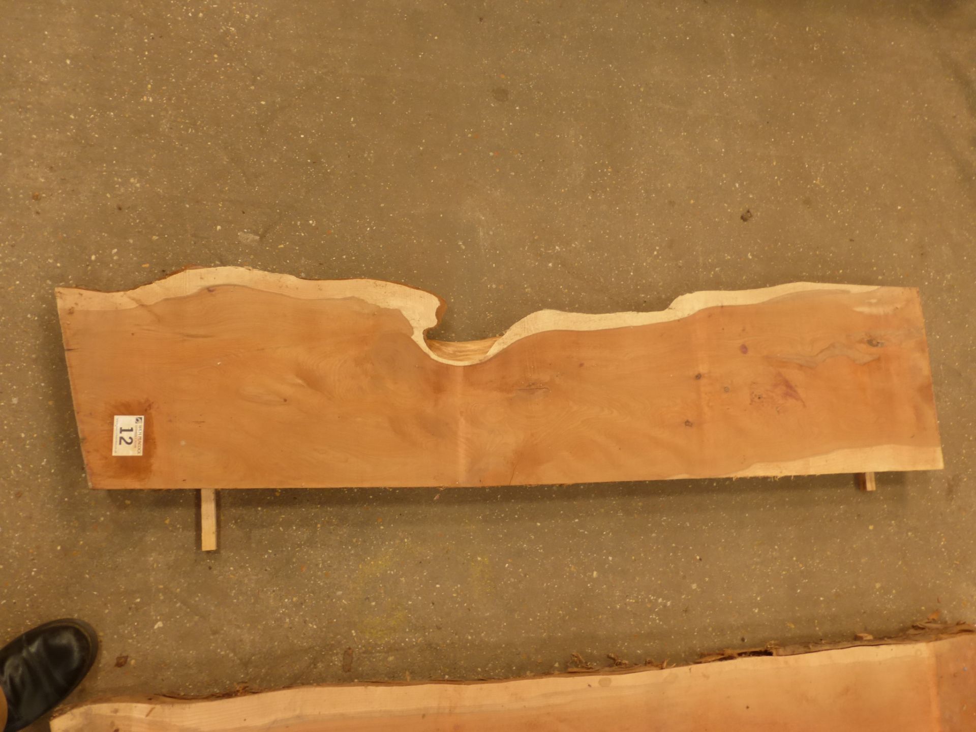 Plank of waney edge yew 1550 x 300 x 60mm - Image 4 of 6