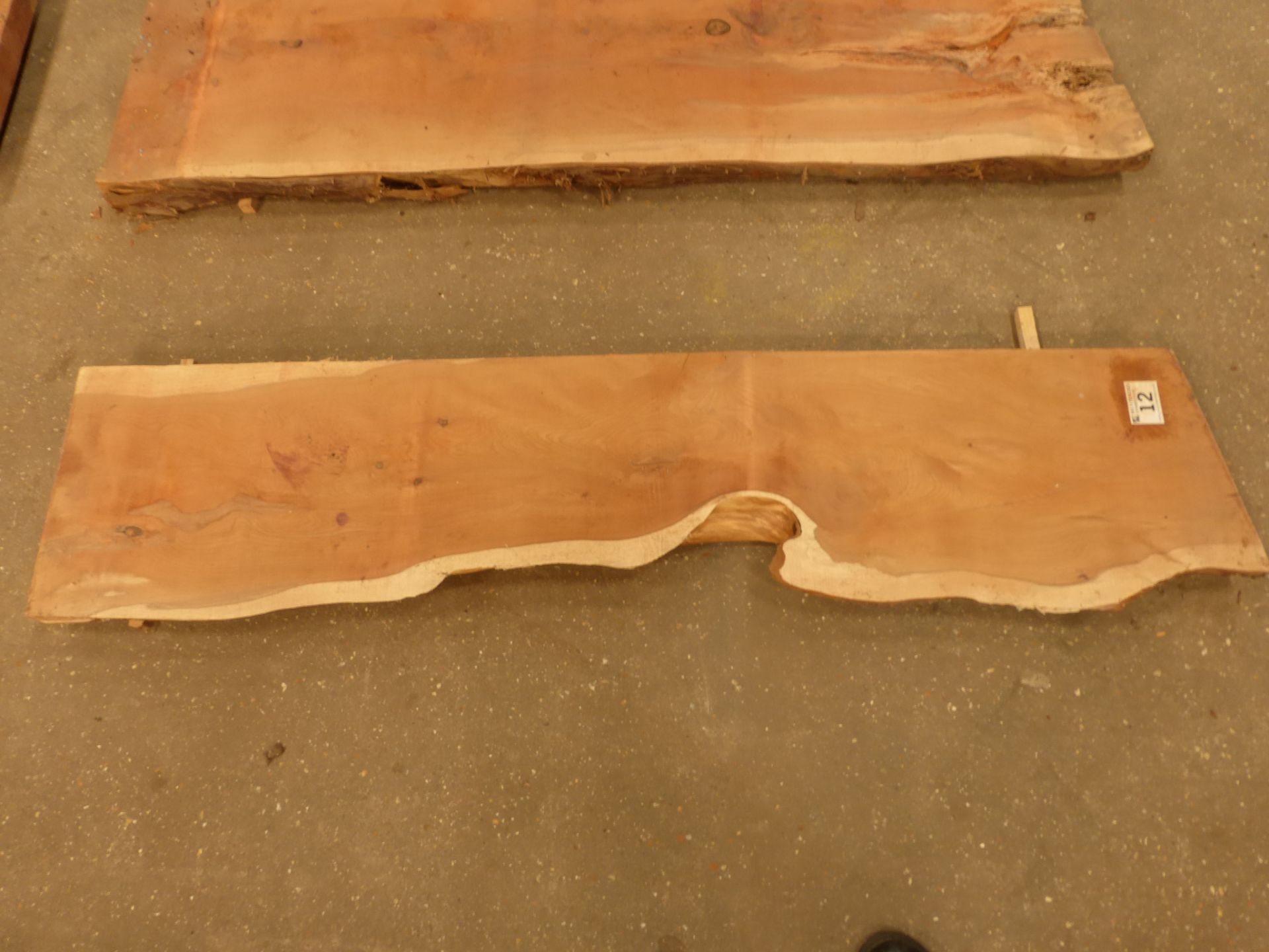 Plank of waney edge yew 1550 x 300 x 60mm - Image 5 of 6