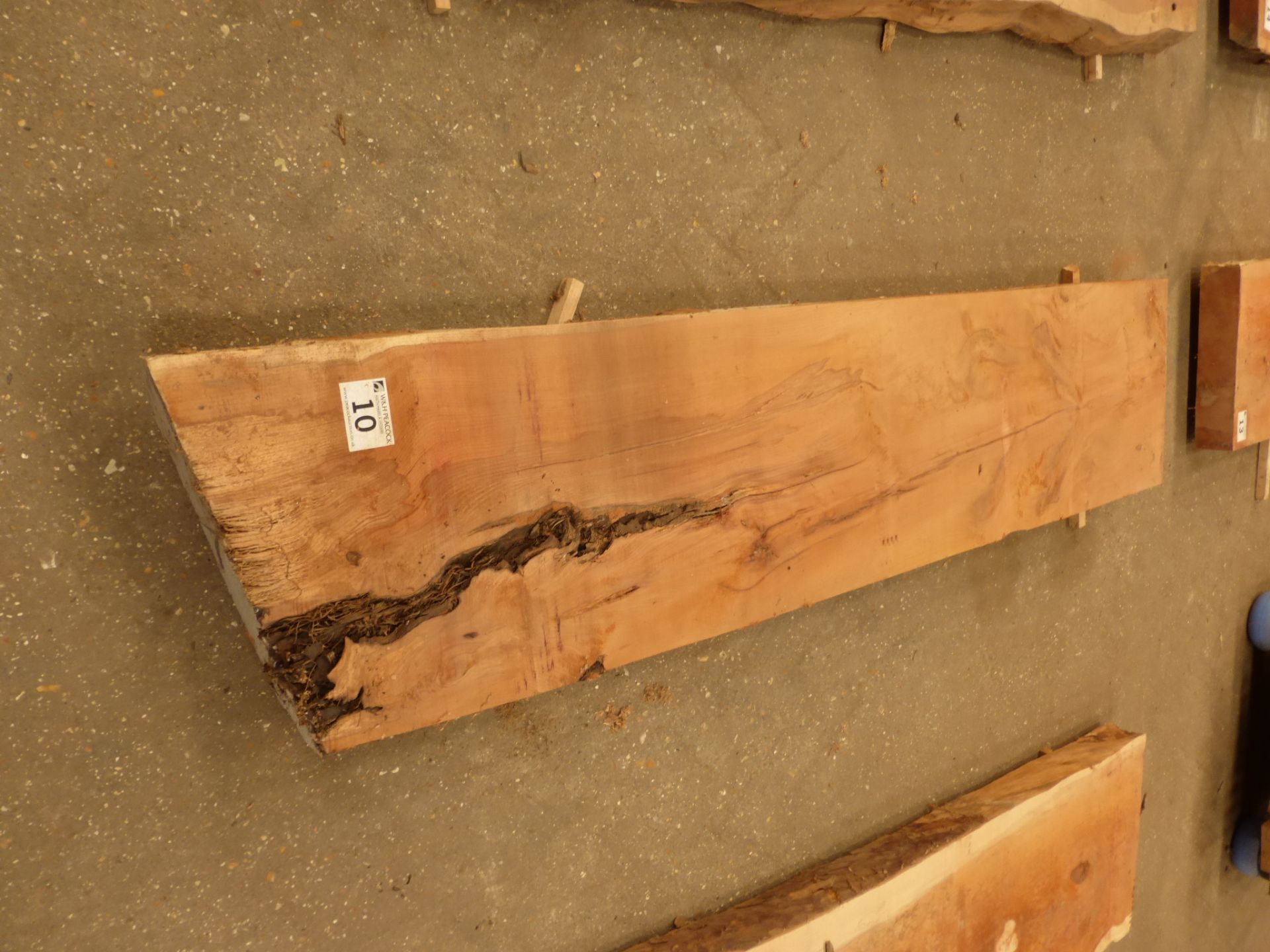 Plank of waney edge yew 1500 x 350 x 90mm - Image 4 of 5