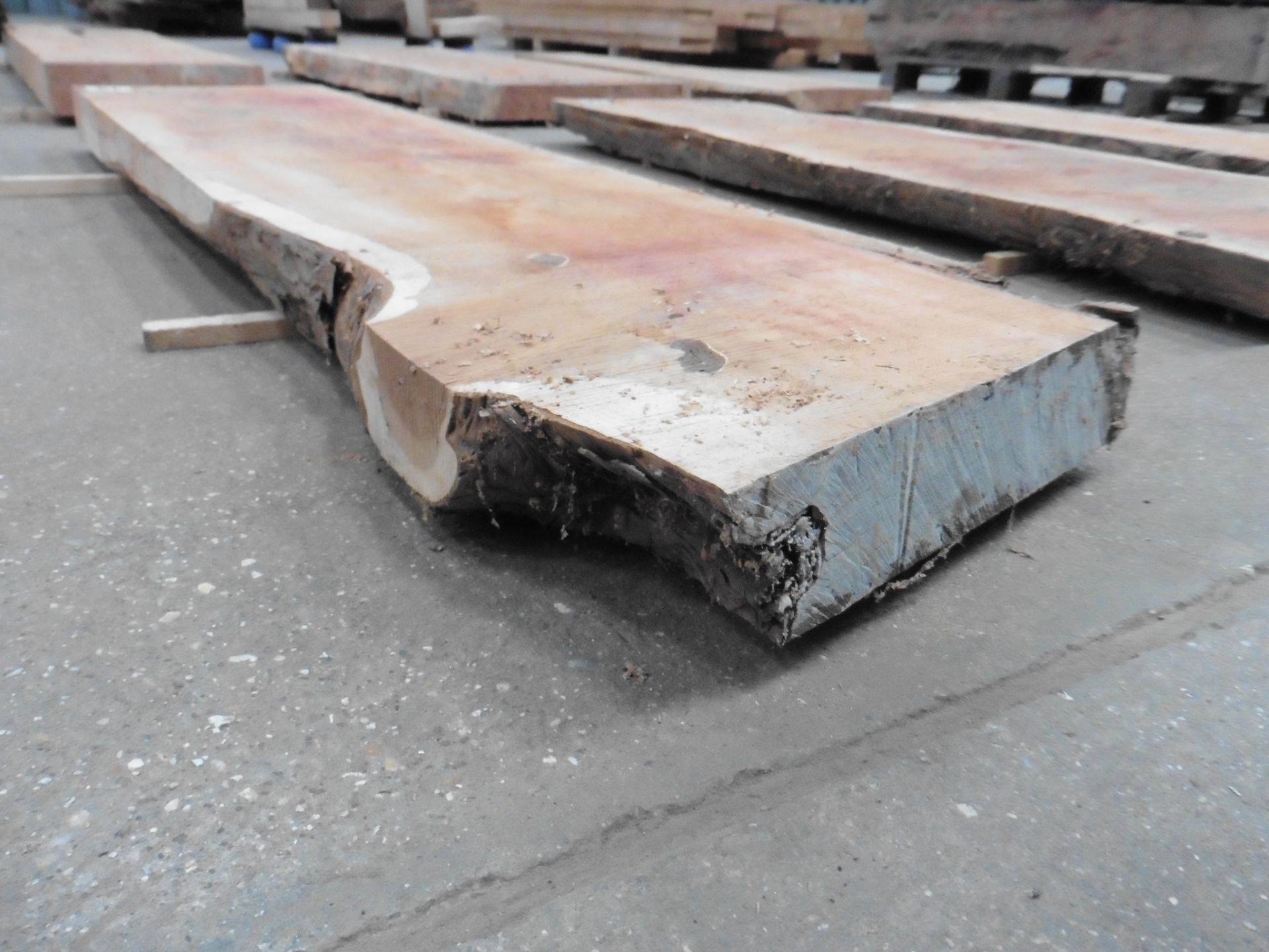 Plank of waney edge yew 1600 x 350 x 70mm - Image 3 of 5