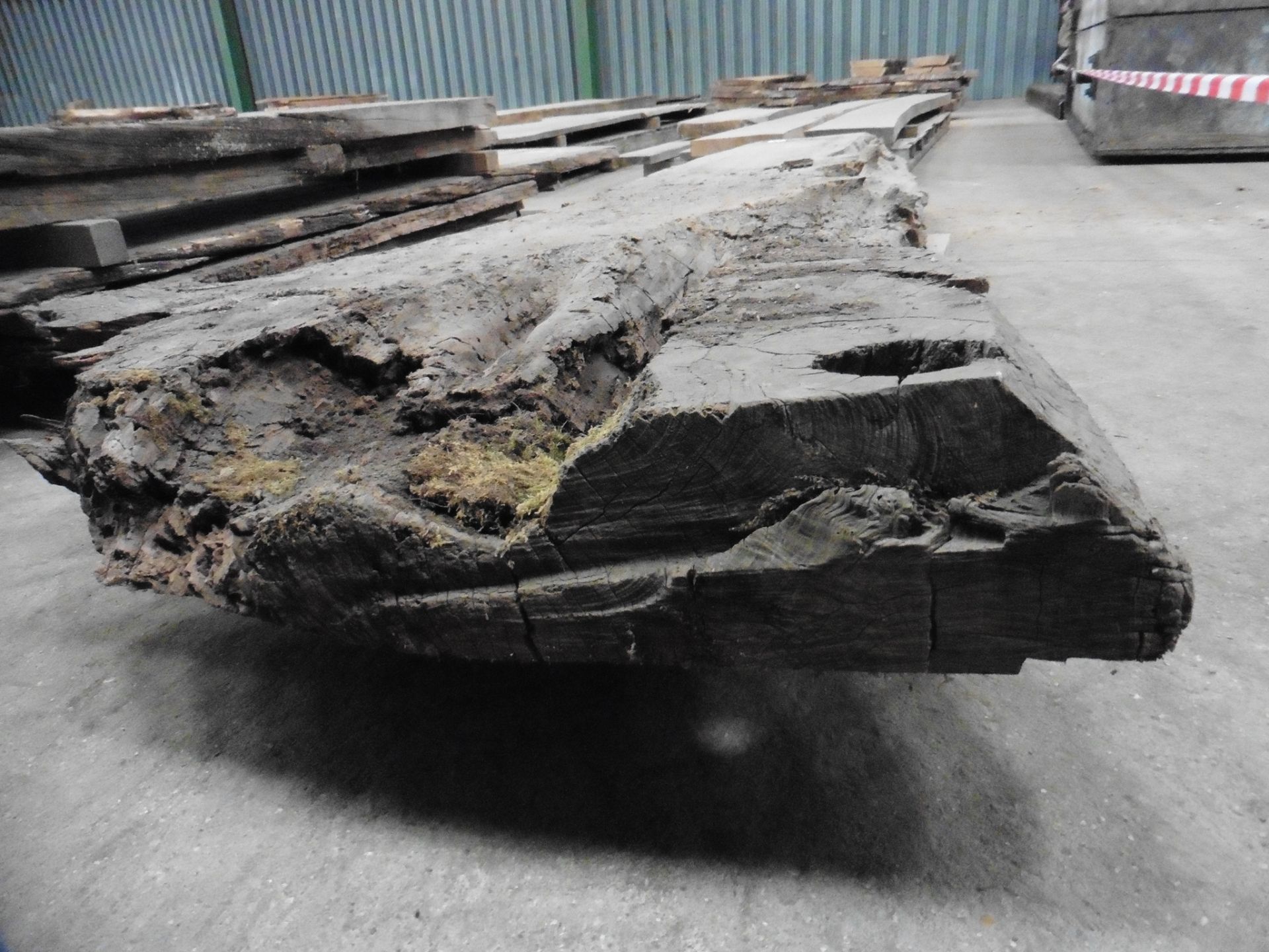 1 old waney edge oak stump board 2800 x 400 x 150mm - Image 3 of 5