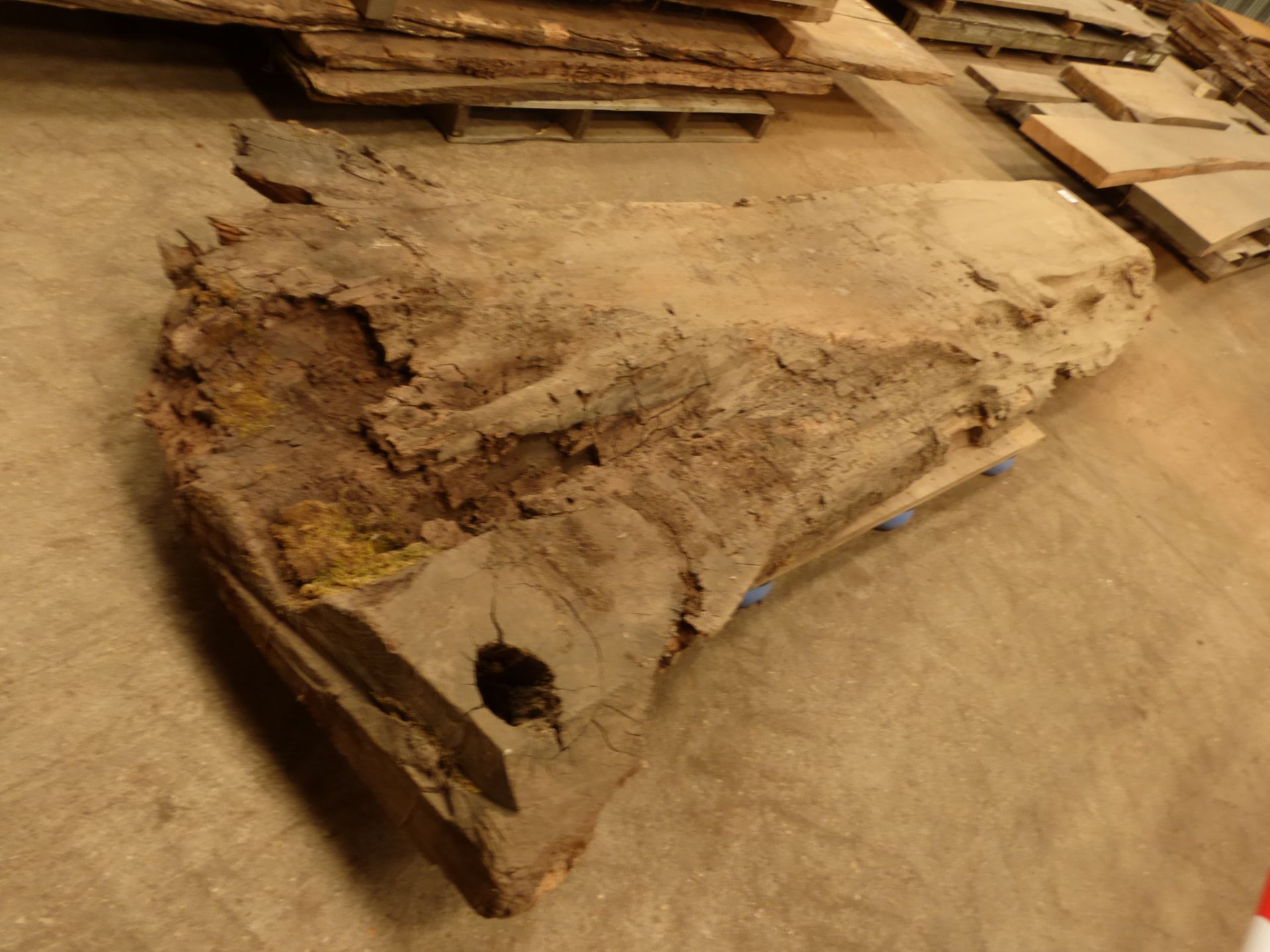 1 old waney edge oak stump board 2800 x 400 x 150mm - Image 5 of 5