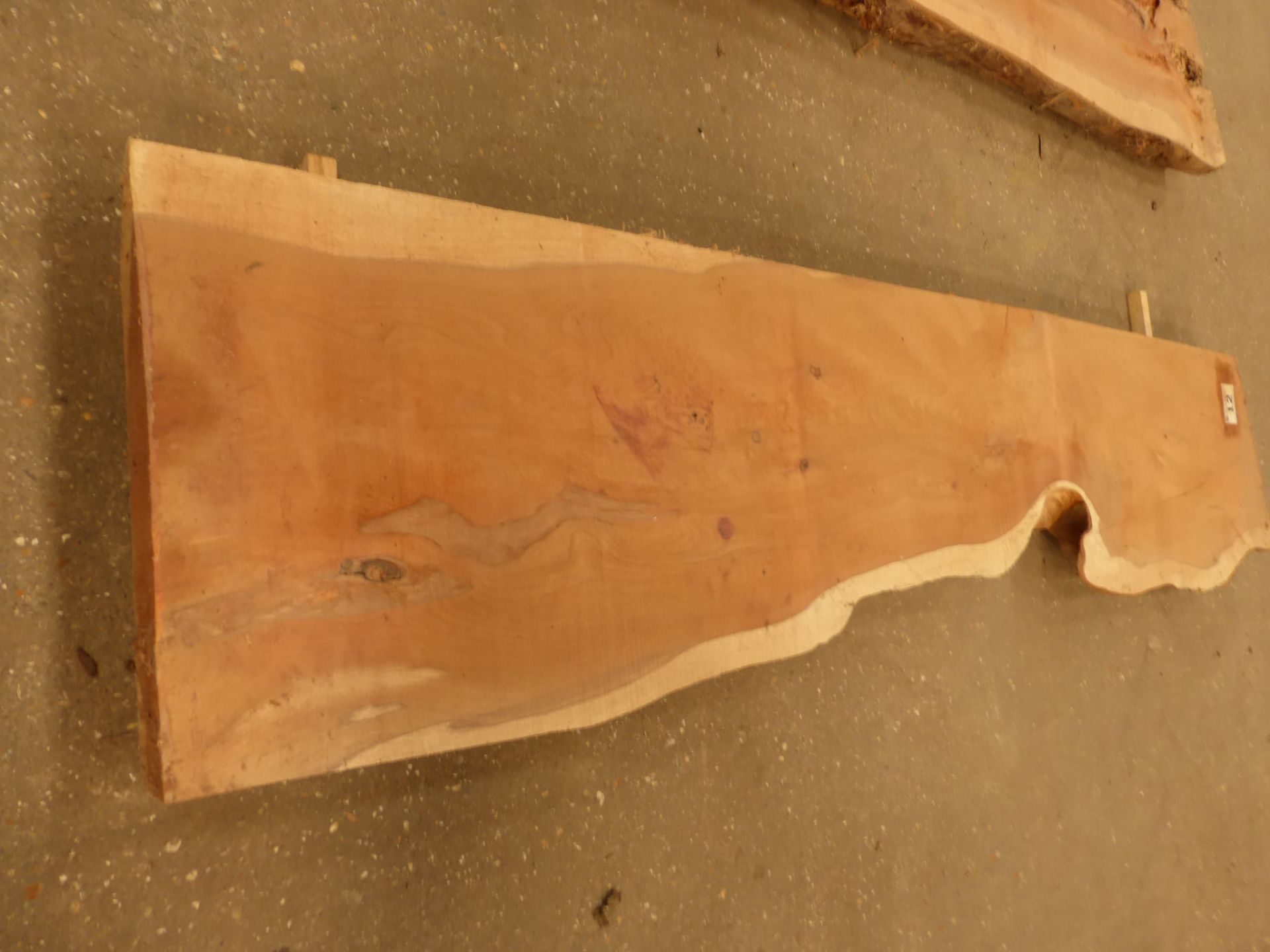 Plank of waney edge yew 1550 x 300 x 60mm - Image 6 of 6