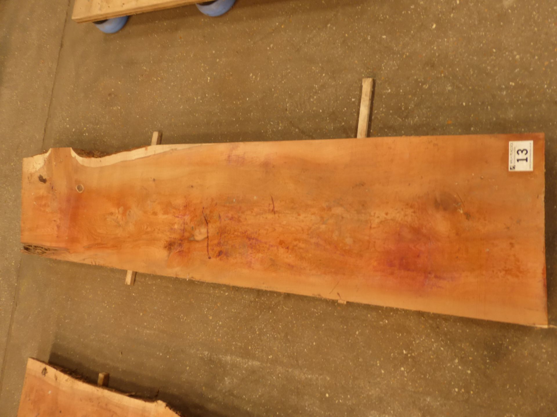 Plank of waney edge yew 1600 x 350 x 70mm - Image 4 of 5