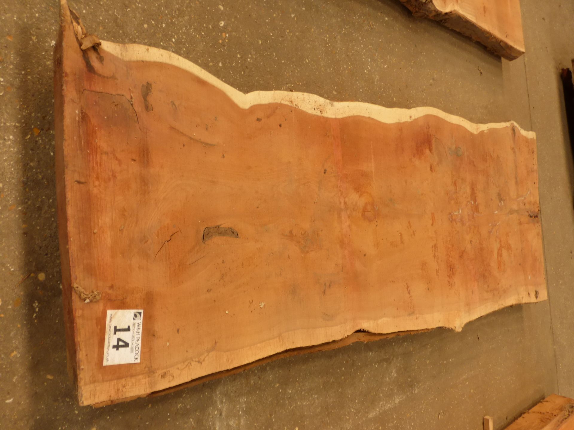 Plank of waney edge yew 1400 x 450 x 50mm - Image 4 of 5