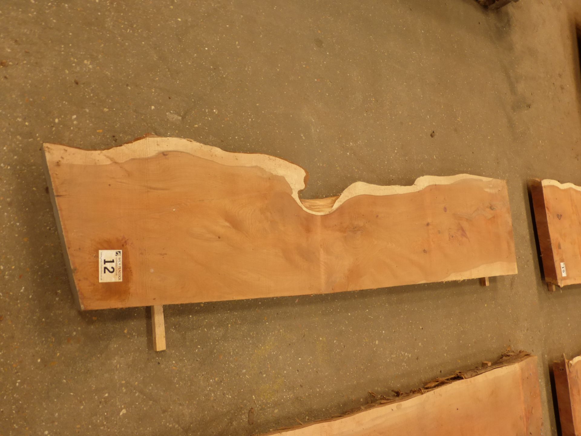 Plank of waney edge yew 1550 x 300 x 60mm