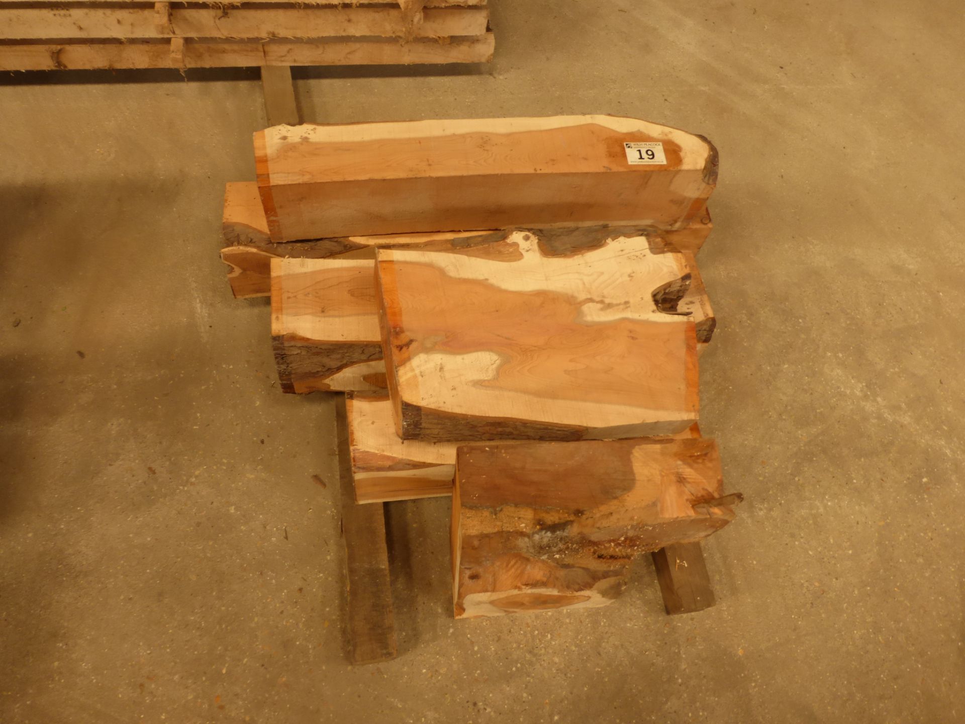 6 lots rough sawn yew