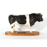 A Beswick Connoisseur figure modelled as a Friesian Bull, matt, on a plinth base, overall h. 18.
