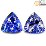 1.15 ct (2 pcs) GIL certified matching pear Tanzanite