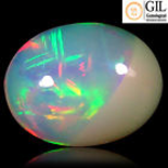 4.62 ct GIL Certified Oval Cabochon (14 x 11 mm) Multi Color Rainbow Opal