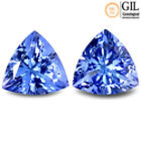 1.24 ct (2pcs) GIL Certified MATCHING PAIR Trillion Cut (6 x 6 mm) Tanzanite