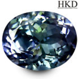 4.33 ct HKD Certified Oval (11 x 9 mm) Bluish Violet Tanzanite