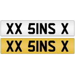 Cherished plate - XX 5INS X - 'SINS'