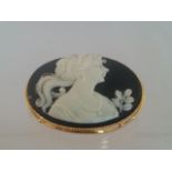 Vintage oval cameo brooch on a black background with gold tone frame and setting. Approx 4cm. Low