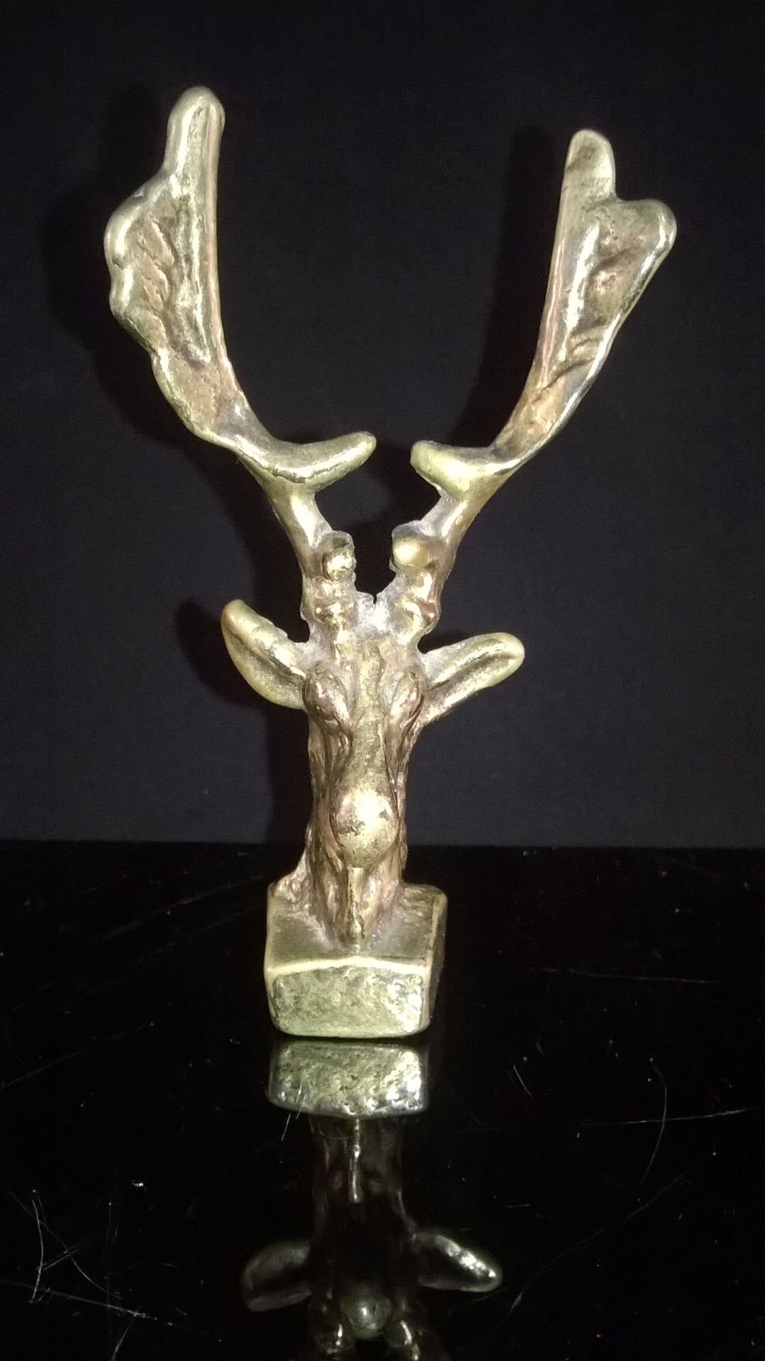 CAST BRASS LACQUERED STAGS HEAD Made of lacquered brass this is in the form of a stags head it