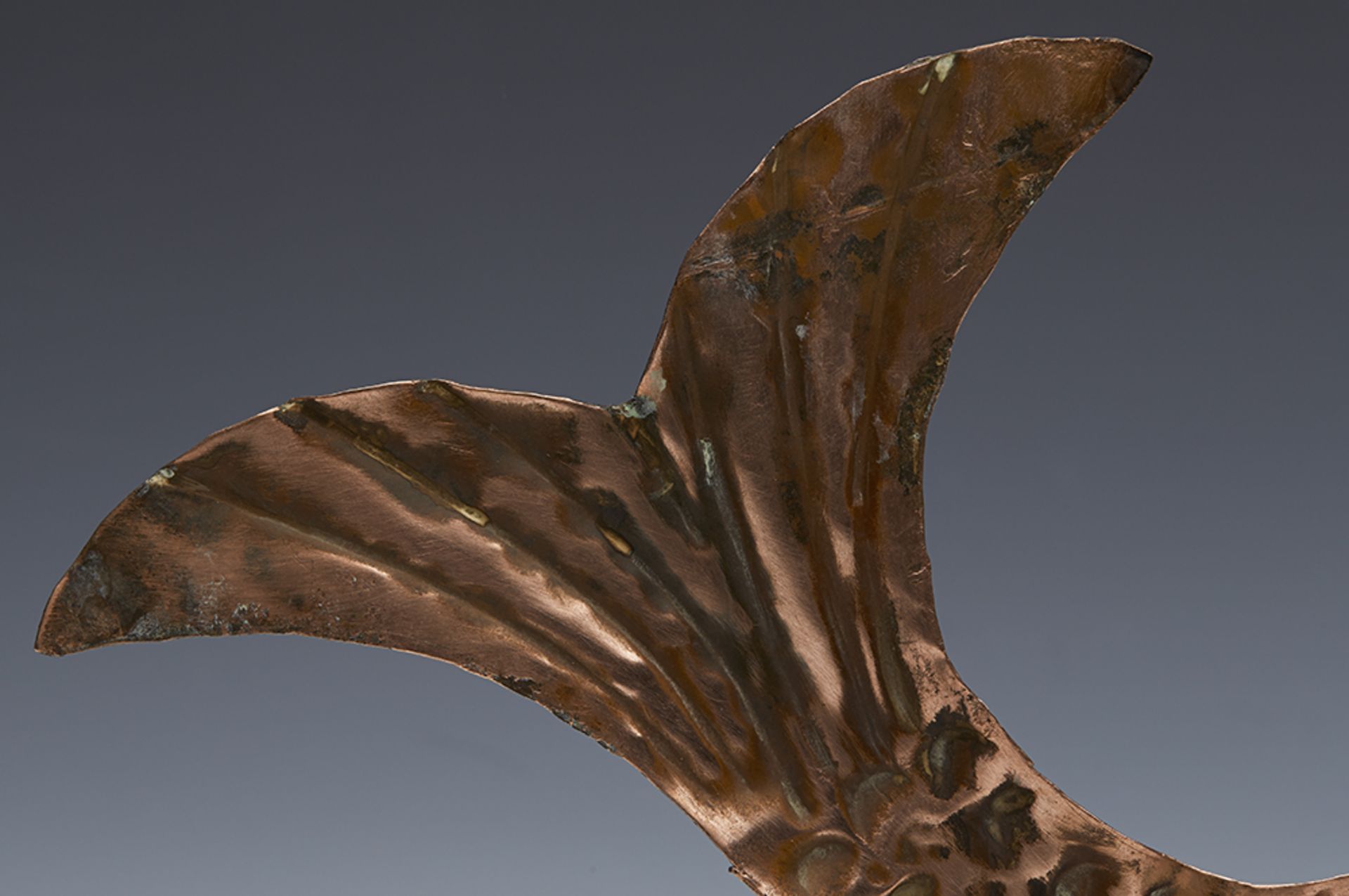 ARTS & CRAFTS NEWLYN COPPER FISH WALL HANGING C.1890 - Image 3 of 9