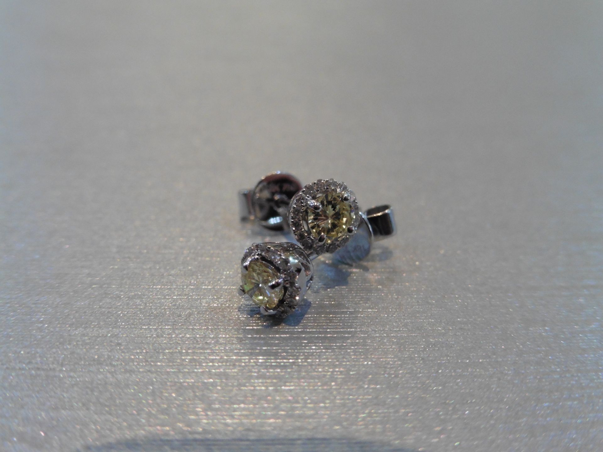 Brand new 18ct white gold diamond set earrings each set with 0.25ct natural yellow brilliant cut