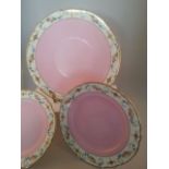 Fine antique LATE FOLEY SHELLEY group of plates c1910 - 1916 with vivid pinks, hand painted