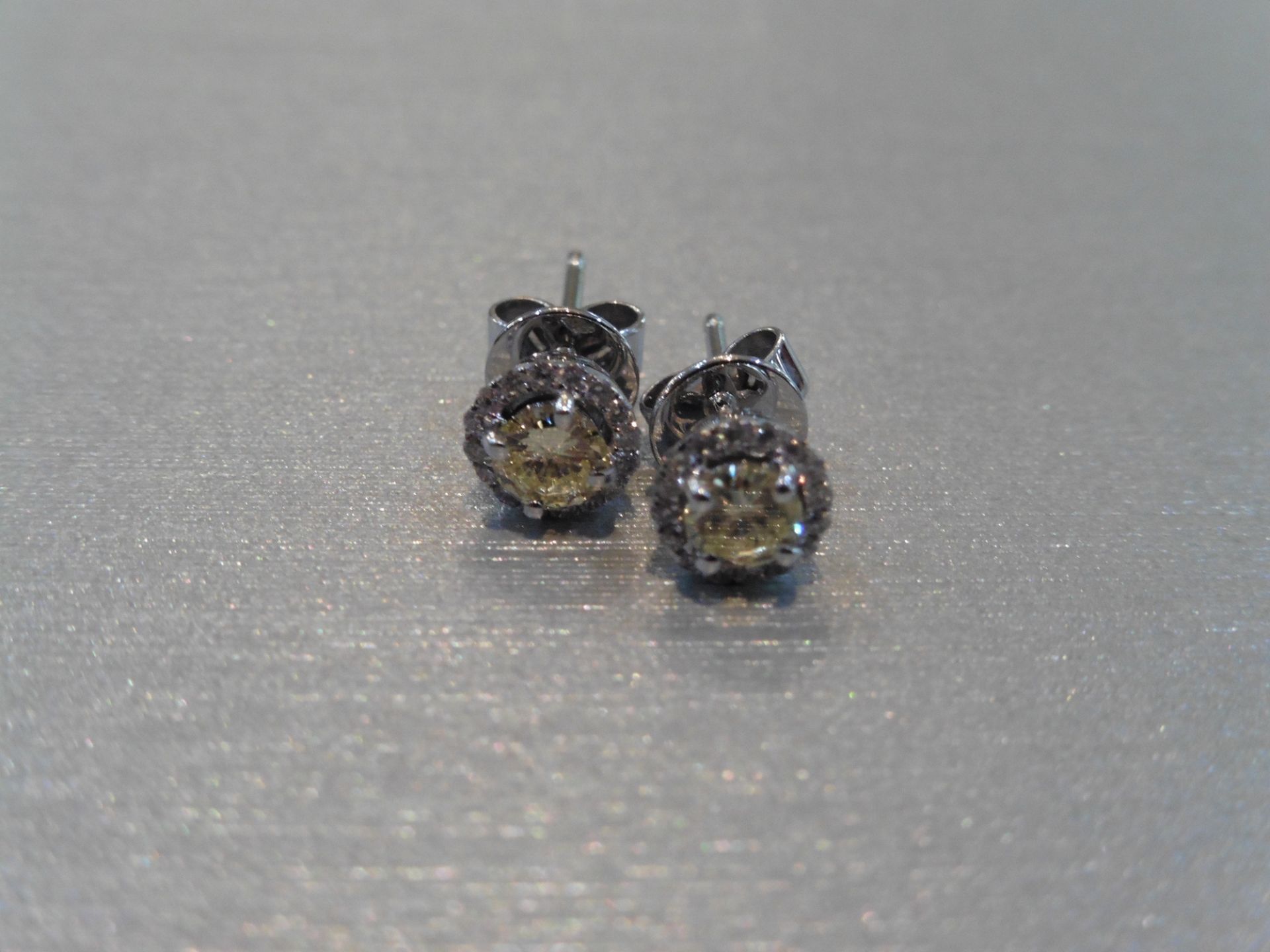 Brand new 18ct white gold diamond set earrings each set with 0.25ct natural yellow brilliant cut - Image 3 of 3