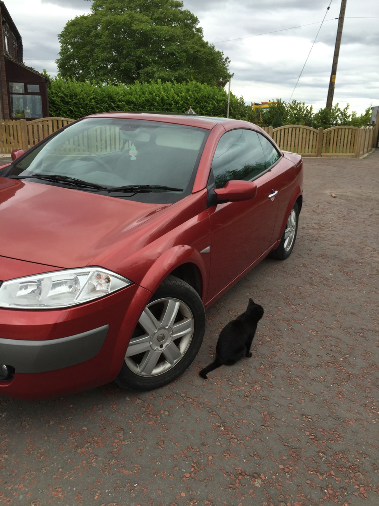 RENAULT Model: MEGANE dynamique vvt convertible - Image 12 of 28