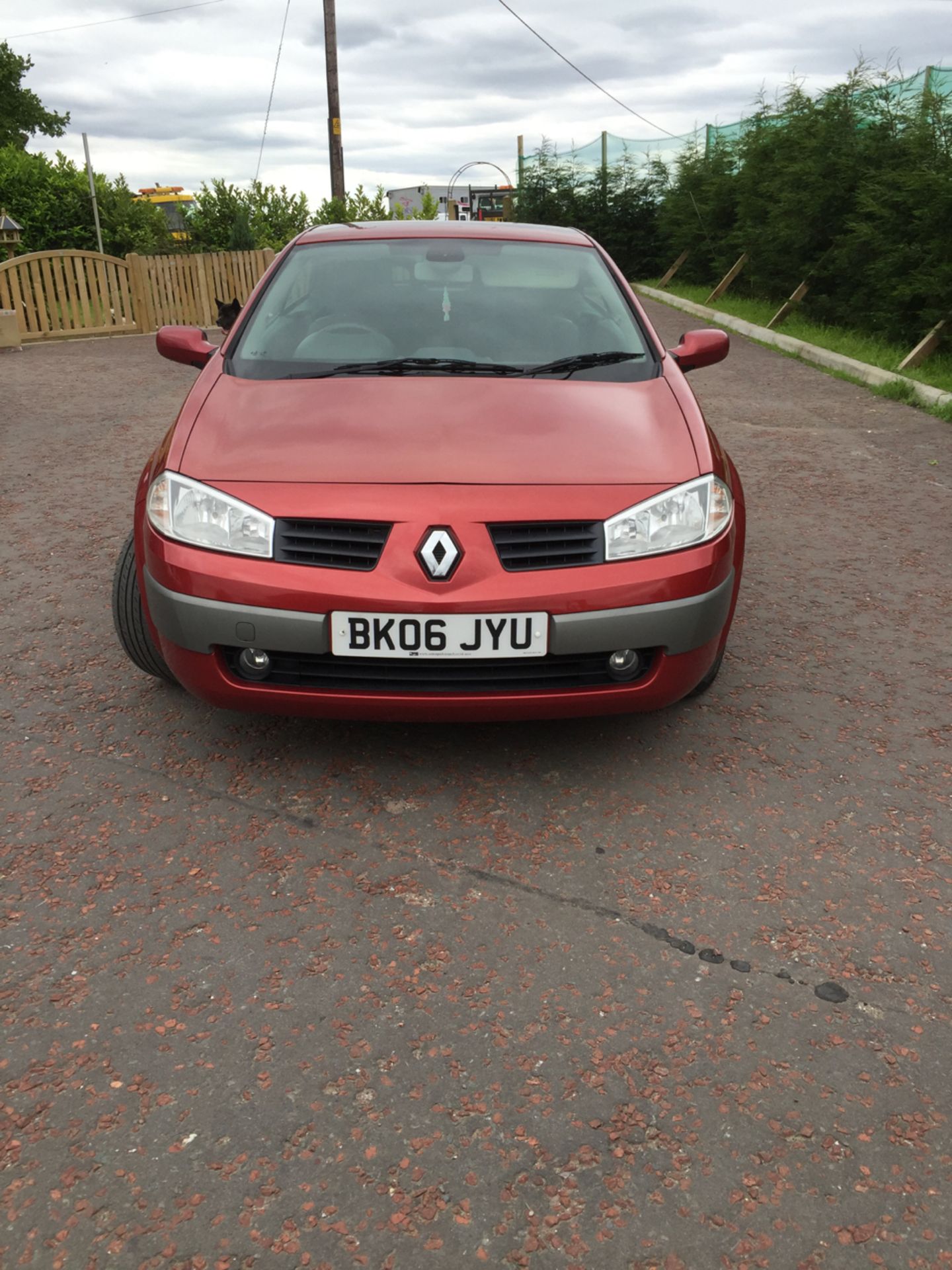 RENAULT Model: MEGANE dynamique vvt convertible - Image 2 of 28