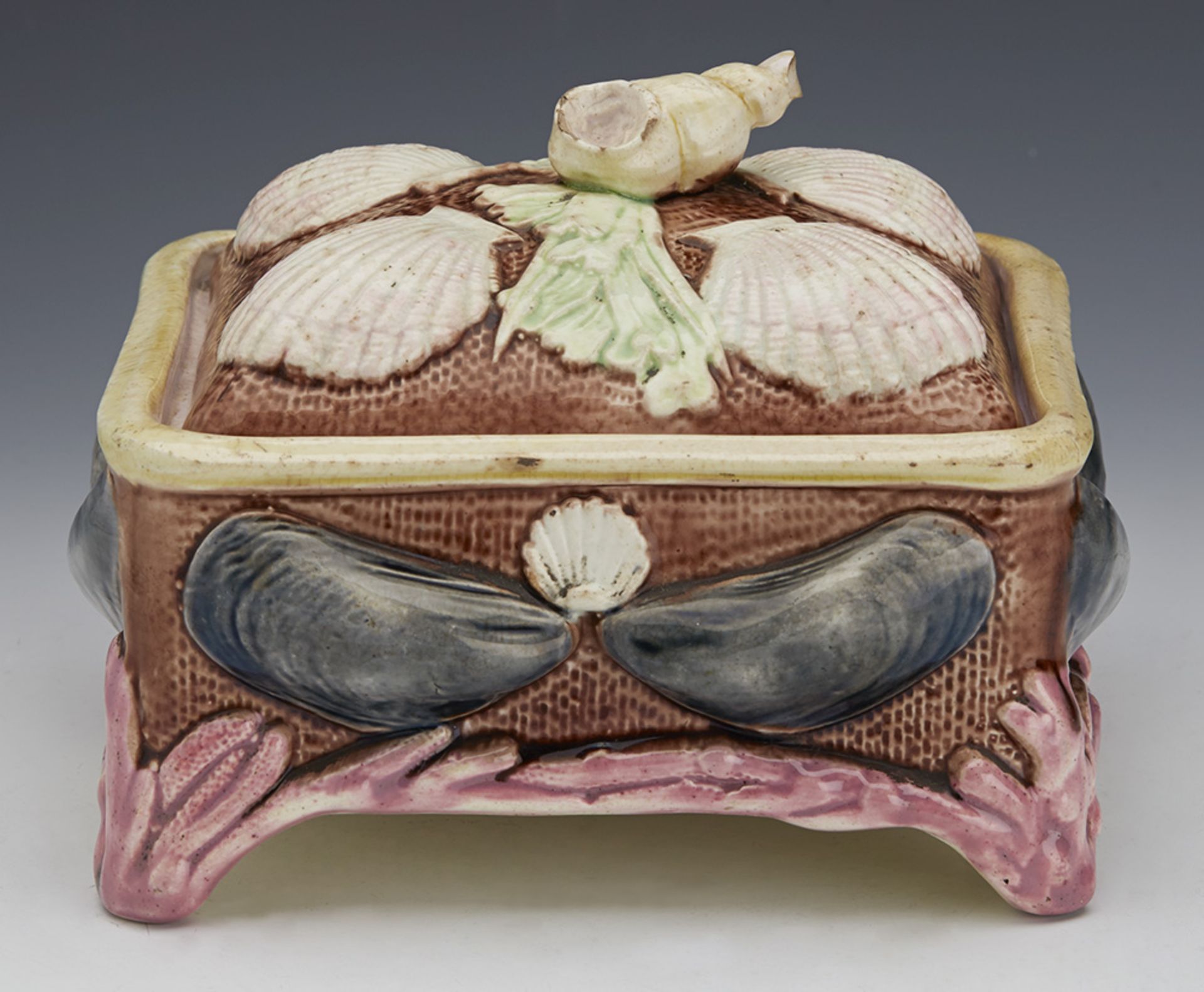 ANTIQUE ENGLISH MAJOLICA SARDINE WITH SHELLS AND SEAWEED C.1865 - Image 10 of 10